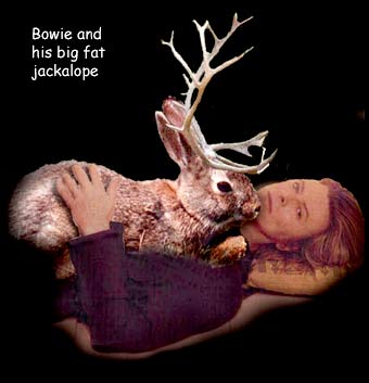jackalope-obsessed