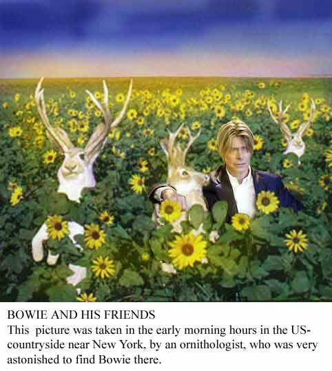 bowie and his friends