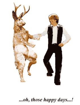 dancing with jackalopes